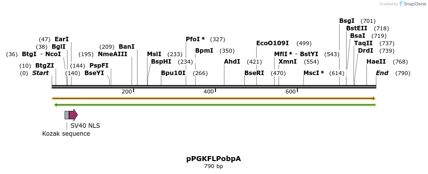 57369_map