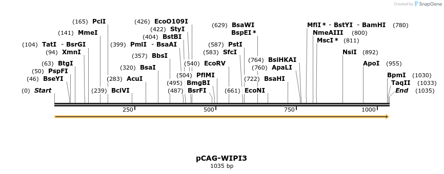 57372_map