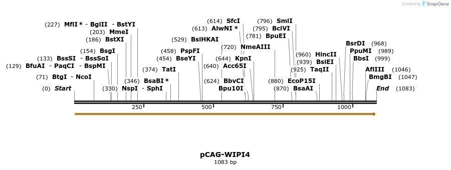 57375_map