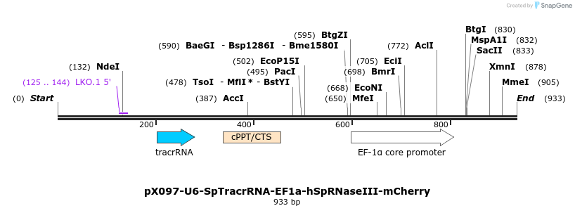57376_map