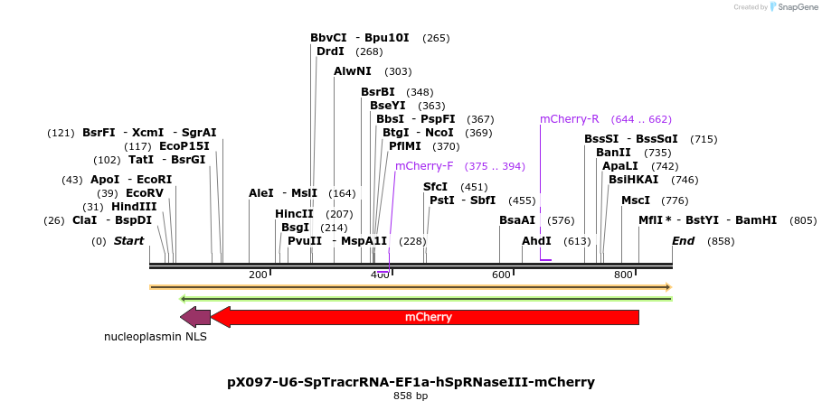57378_map