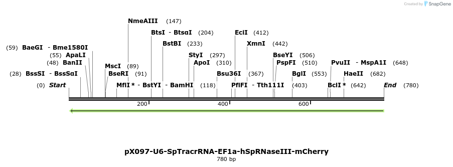 57379_map