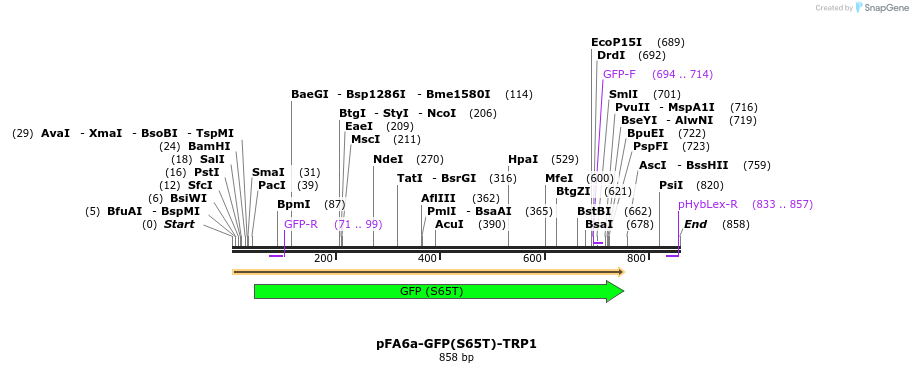 57387_map