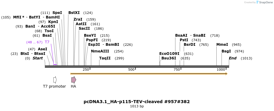 57392_map