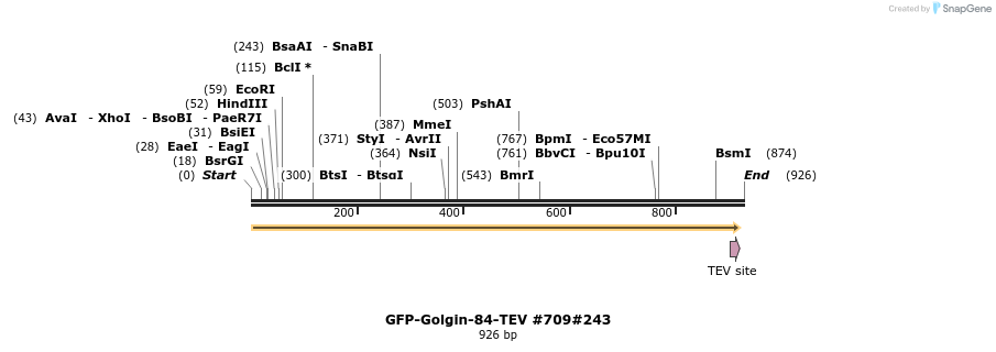 57393_map