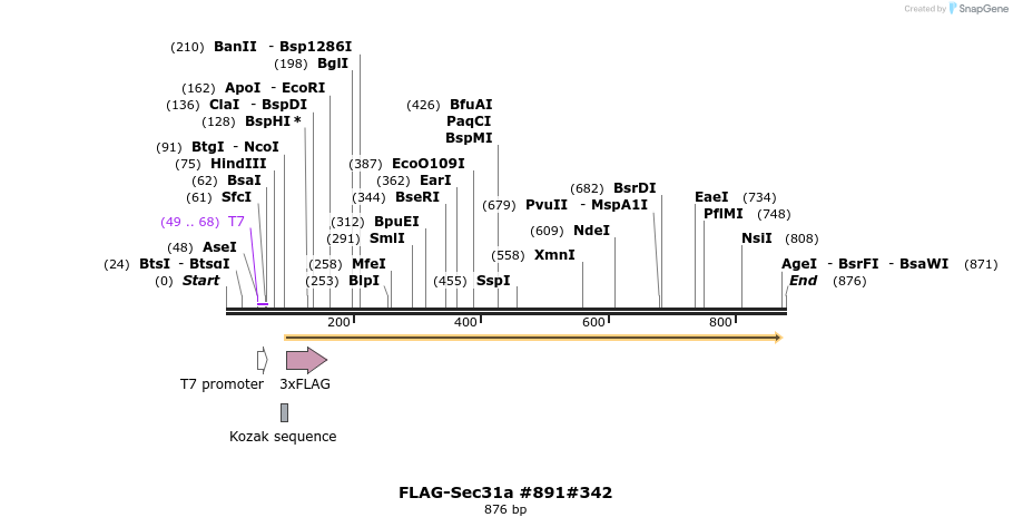 57394_map