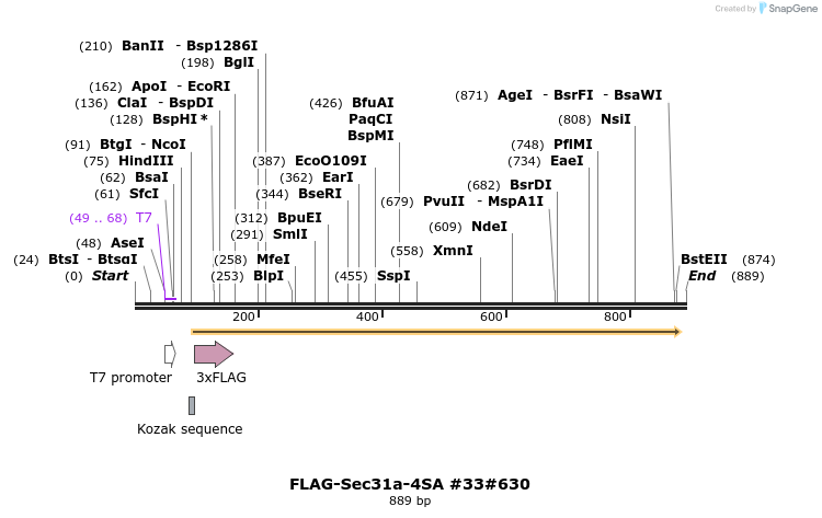 57395_map