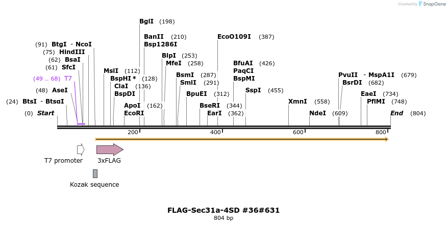 57396_map