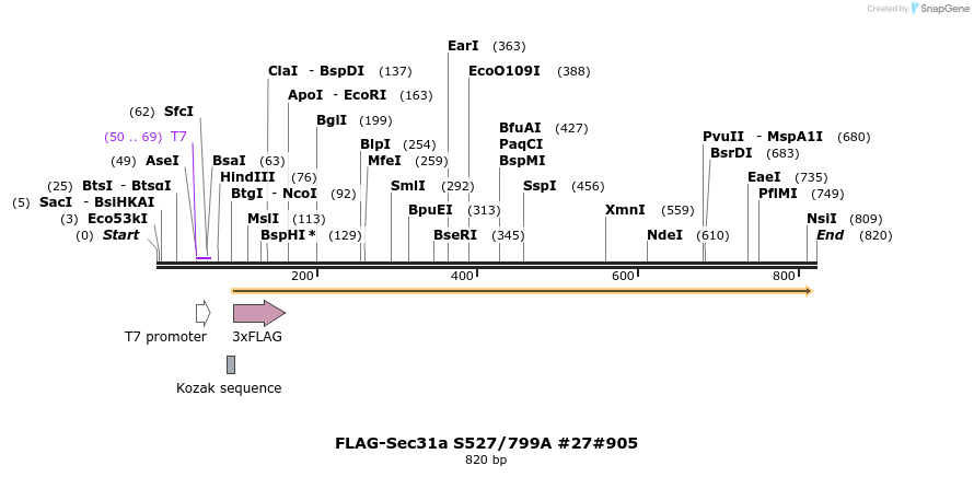 57400_map