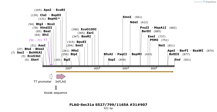 57402_map