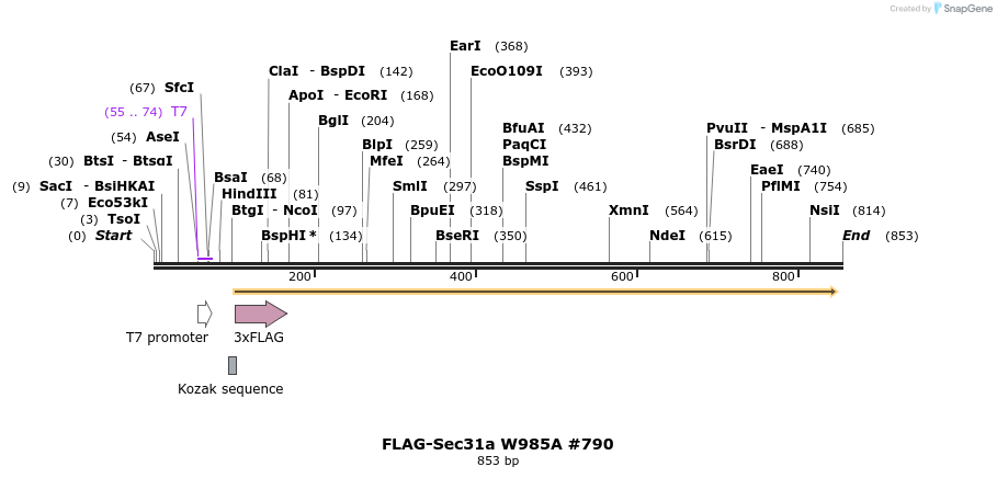 57403_map