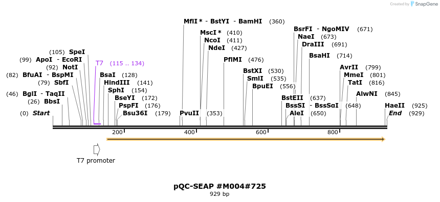57405_map