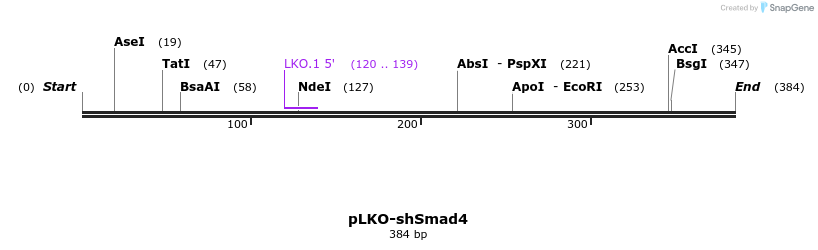 57406_map
