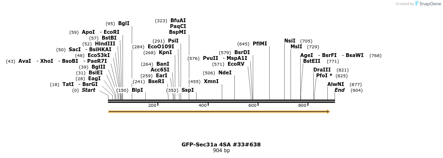 57407_map