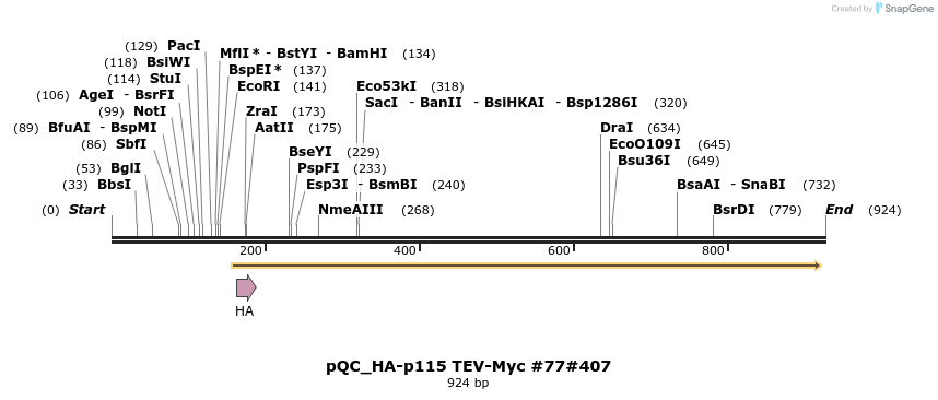 57408_map