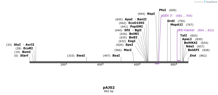 57410_map