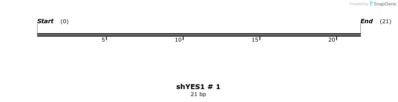 57419_map