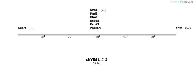 57421_map