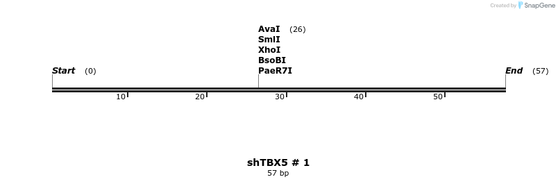 57425_map