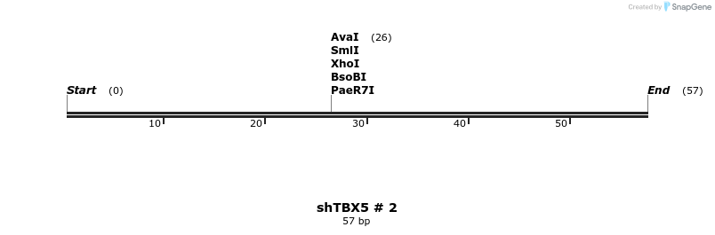57427_map