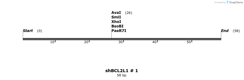 57429_map