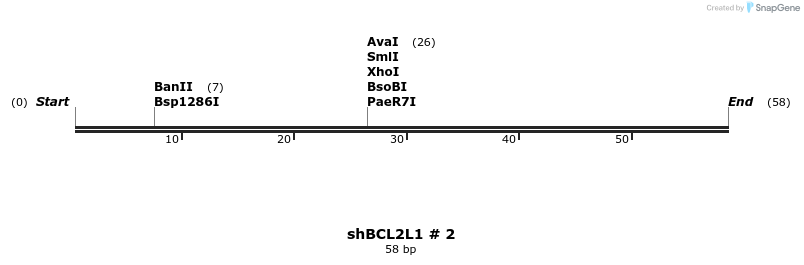 57431_map