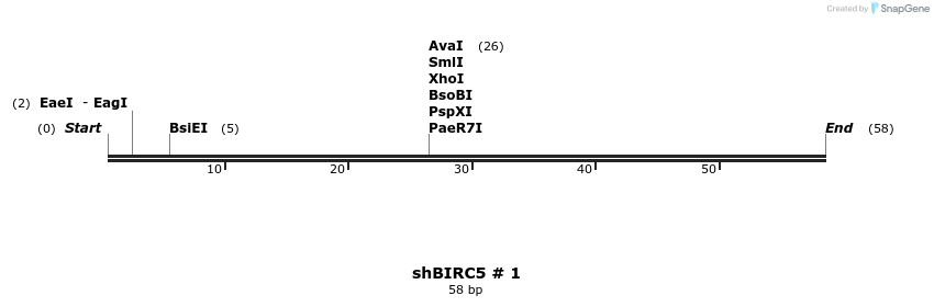 57433_map