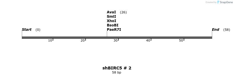 57435_map