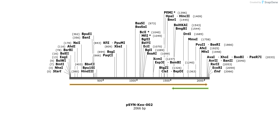 57442_map