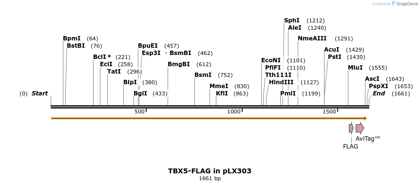 57464_map