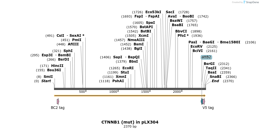 57465_map