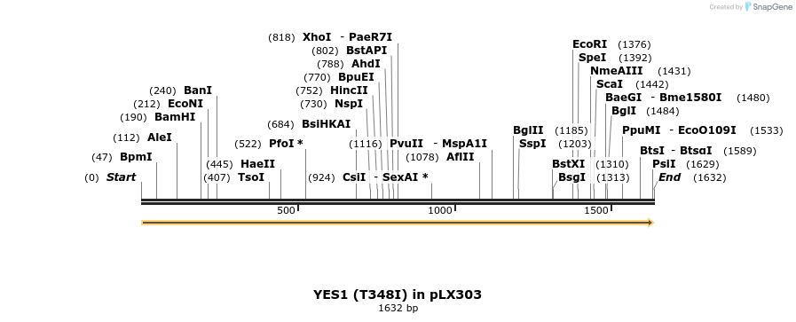 57467_map