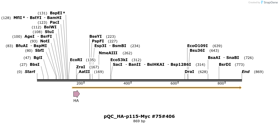 57473_map