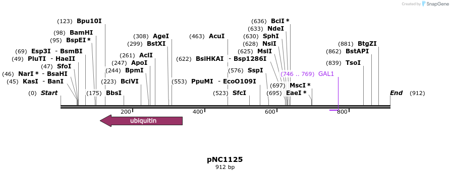 57490_map