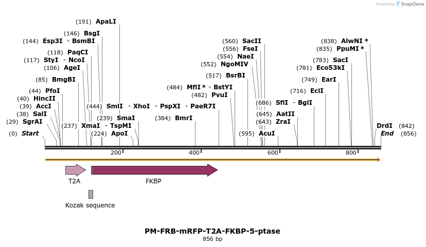 57495_map