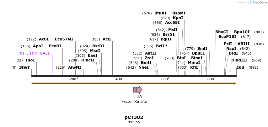 57502_map