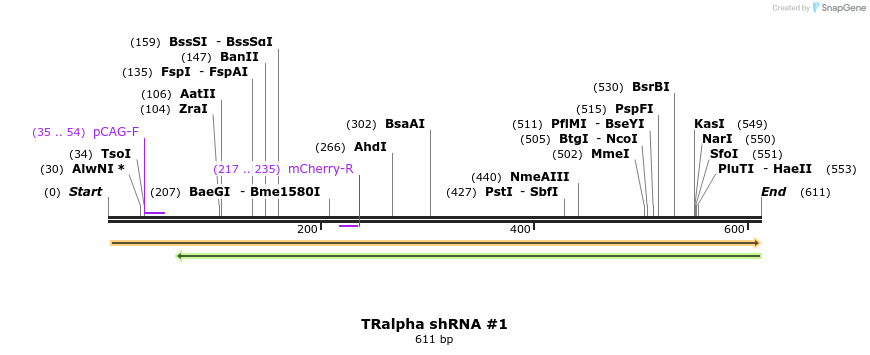 57505_map