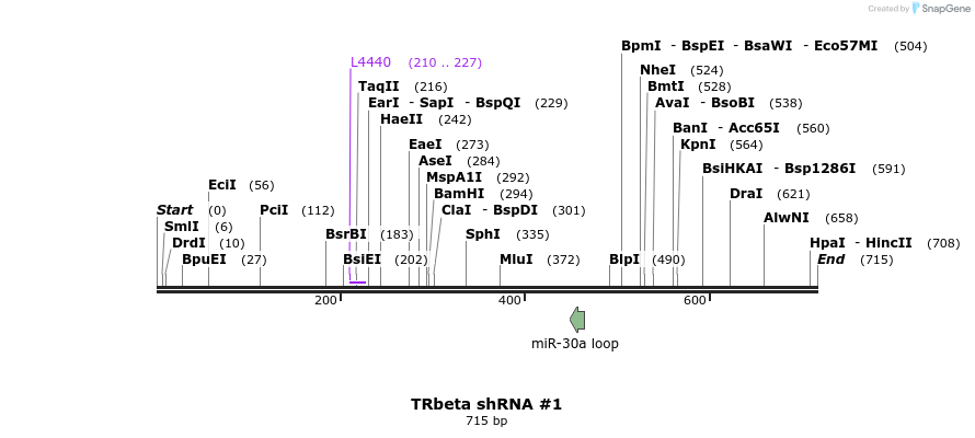 57509_map