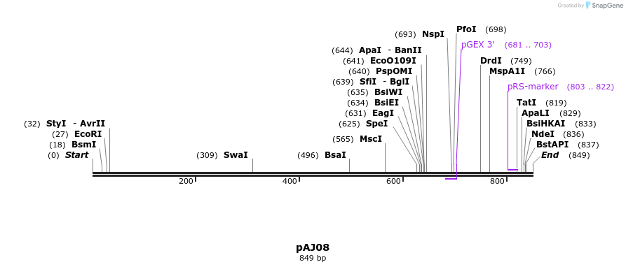 57510_map