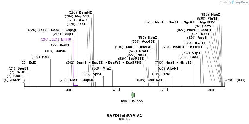 57514_map