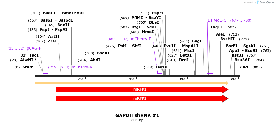 57515_map