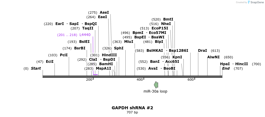 57517_map