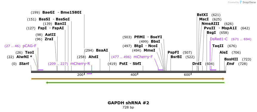 57518_map