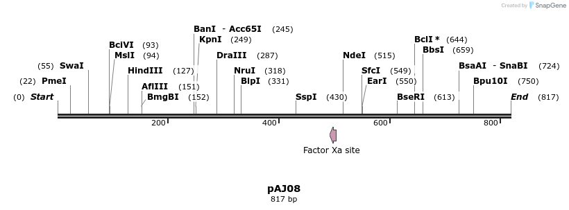 57519_map