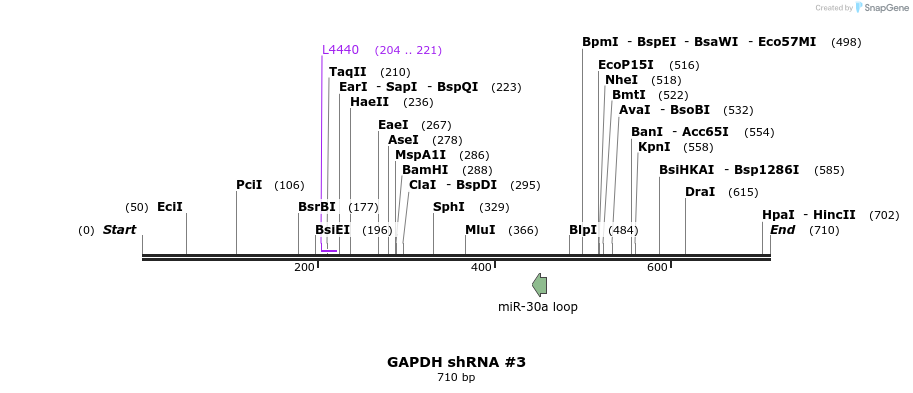 57520_map