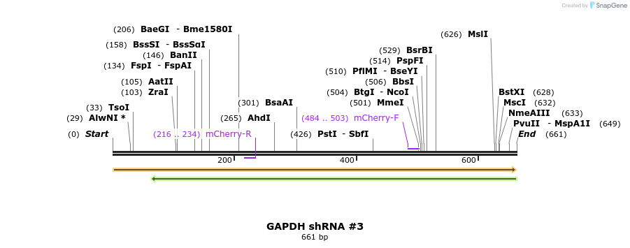 57521_map