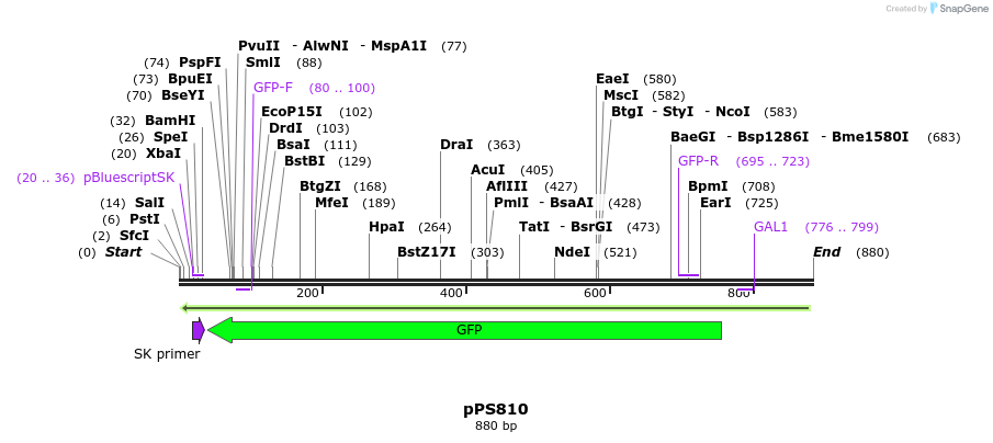 57524_map