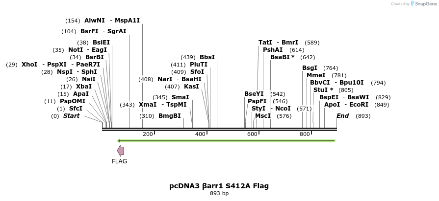 57540_map