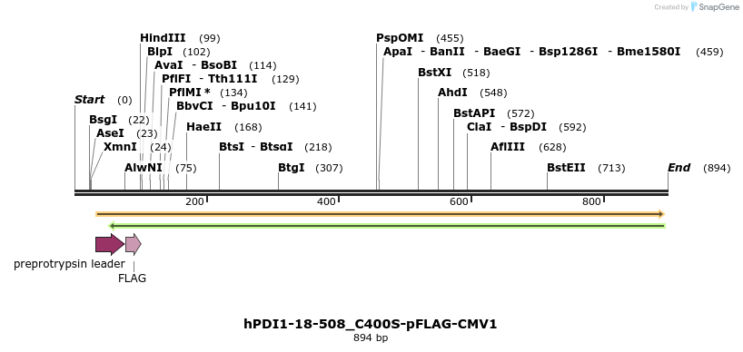 57541_map