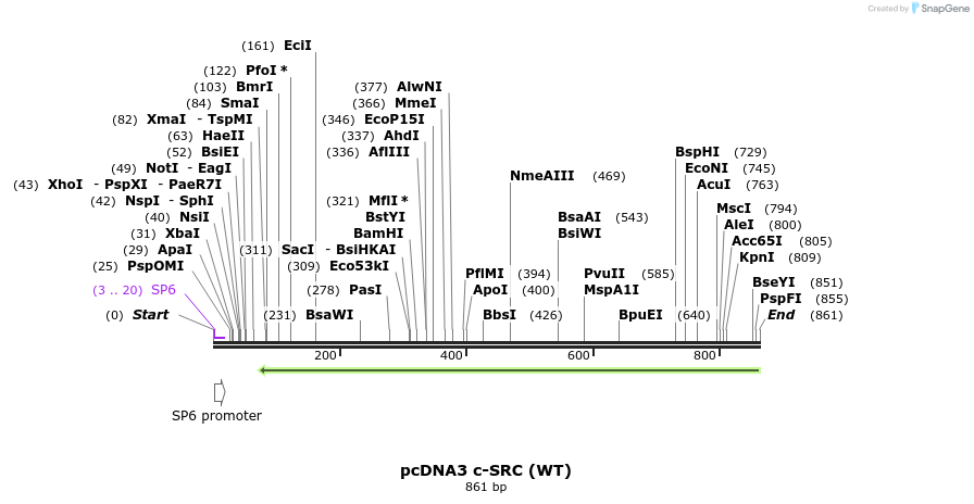 57549_map